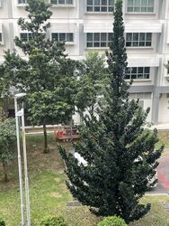 Blk 211 Boon Lay Place (Jurong West), HDB 3 Rooms #614169781